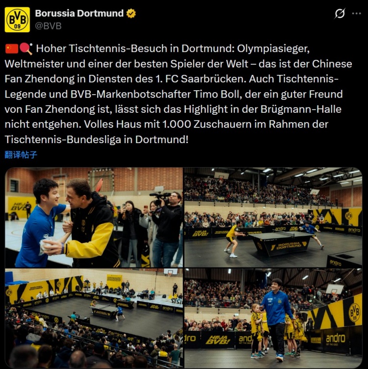 开云体育下载-樊振东随队客战多特吸引上千球迷观战，多特死忠波尔也来到现场